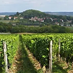Le Bailli De Bed & Breakfast Montsaugeon